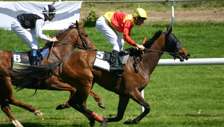 Betsson Sports captura de tela 1
