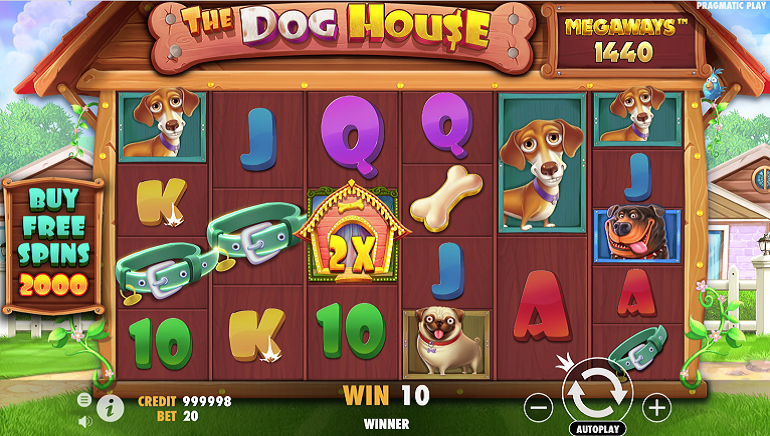 PlayBet.io captura de tela 4